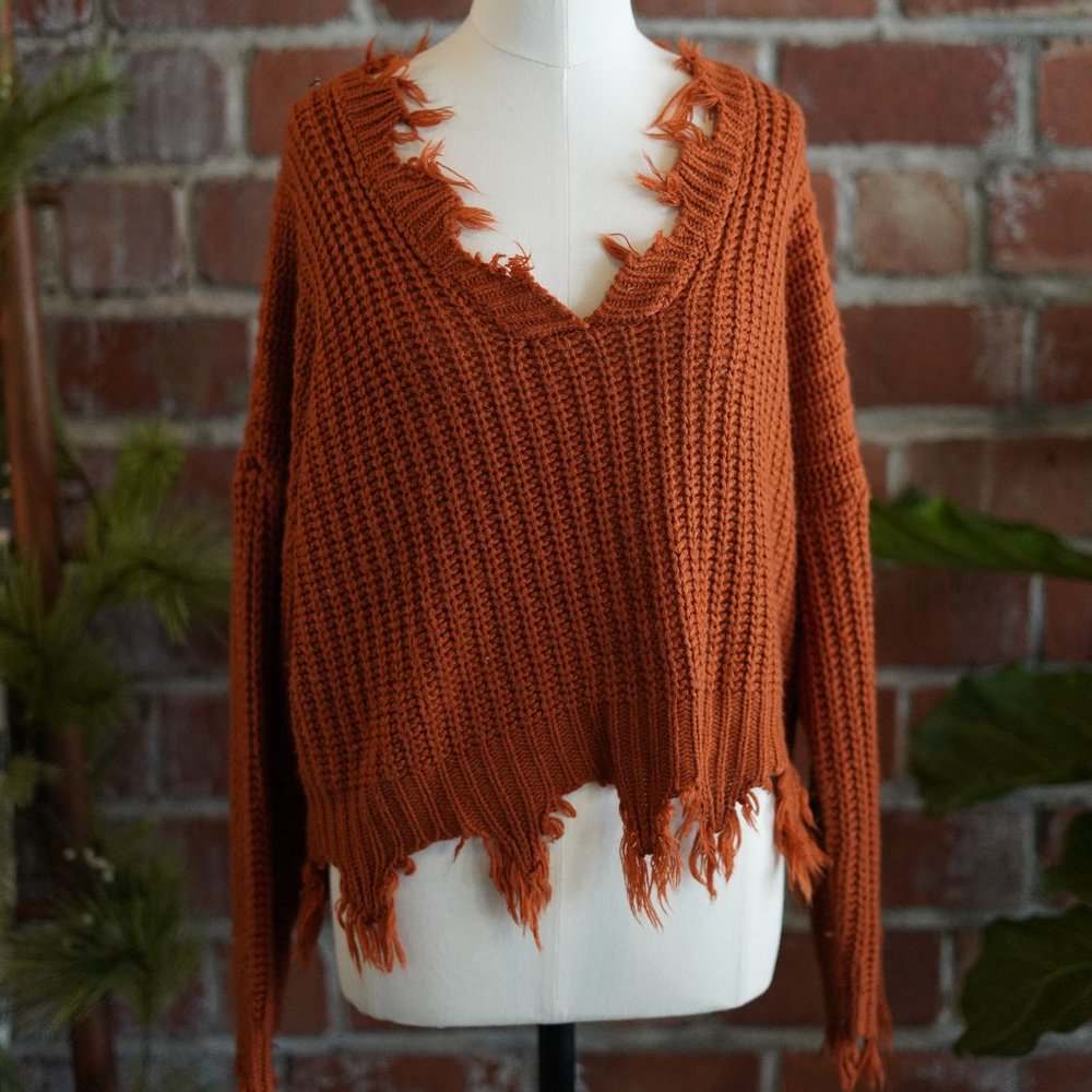 Boutique Burnt Orange Distressed Cropped Long Sleeve Sweater